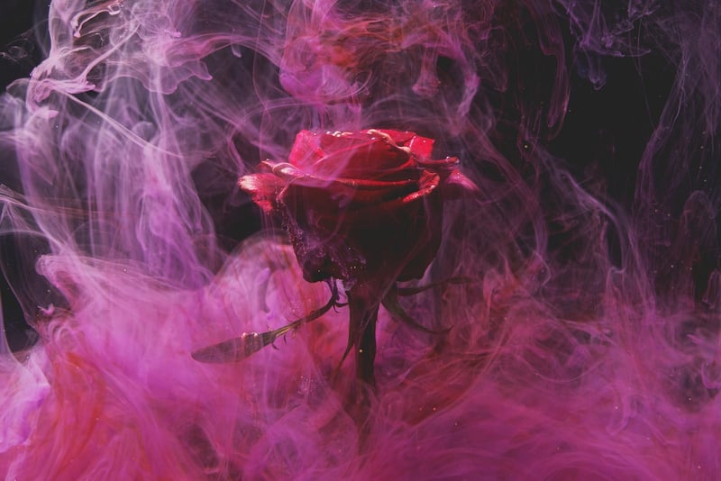 Mystical blooms